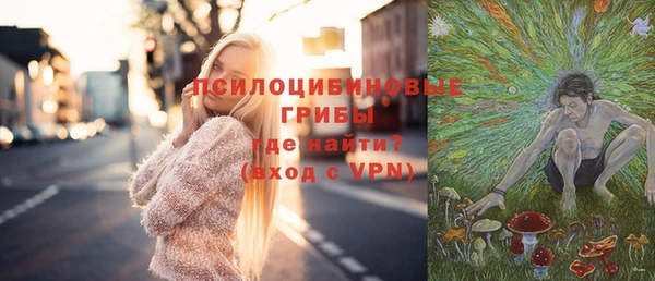 спайс Алексеевка