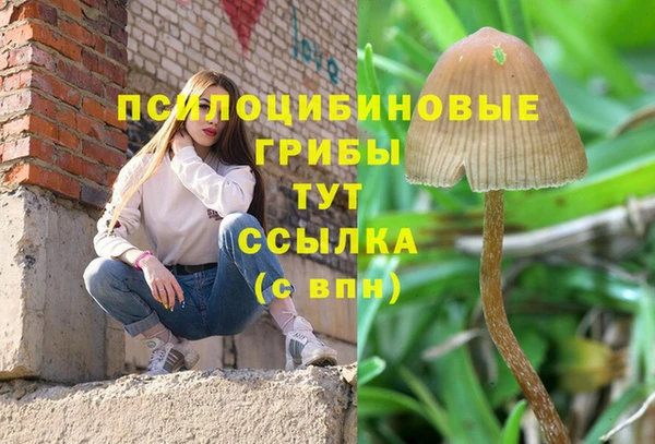 меф Алзамай