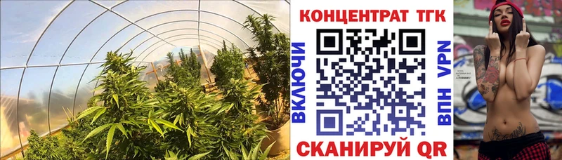 Дистиллят ТГК вейп с тгк  Старая Русса 
